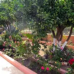 Lejlighed Artemis Superb 2 Bedroom 700 M Away From The Minia