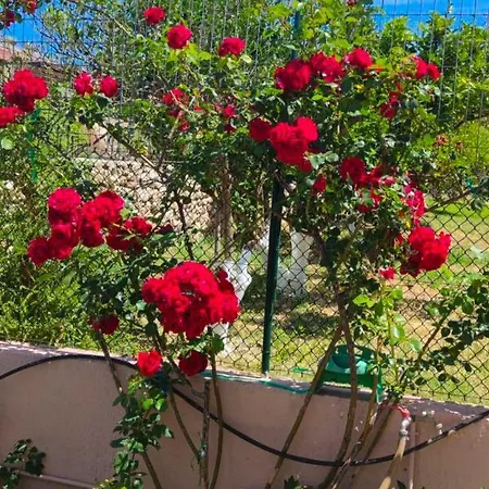 Artemis Superb 2 Bedroom 700 M Away From The * Minia