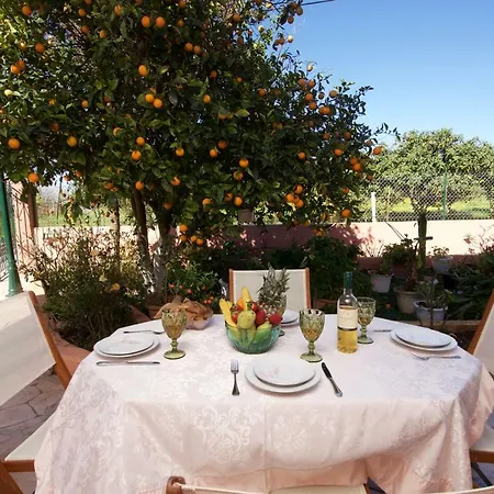 Daire Artemis Superb 2 Bedroom 700 M Away From The Minia