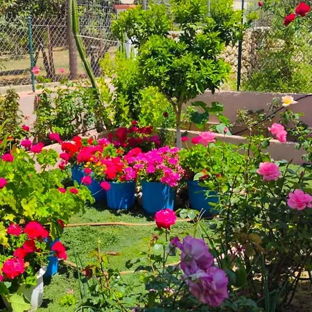 شقة Artemis Superb 2 Bedroom 700 M Away From The *