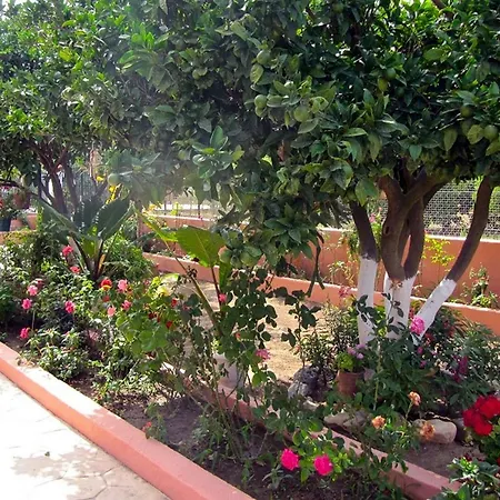 شقة Artemis Superb 2 Bedroom 700 M Away From The Minia